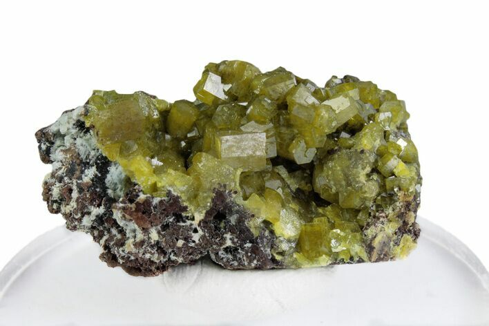 Yellow-Green Pyromorphite Crystals on Matrix - Congo #379959